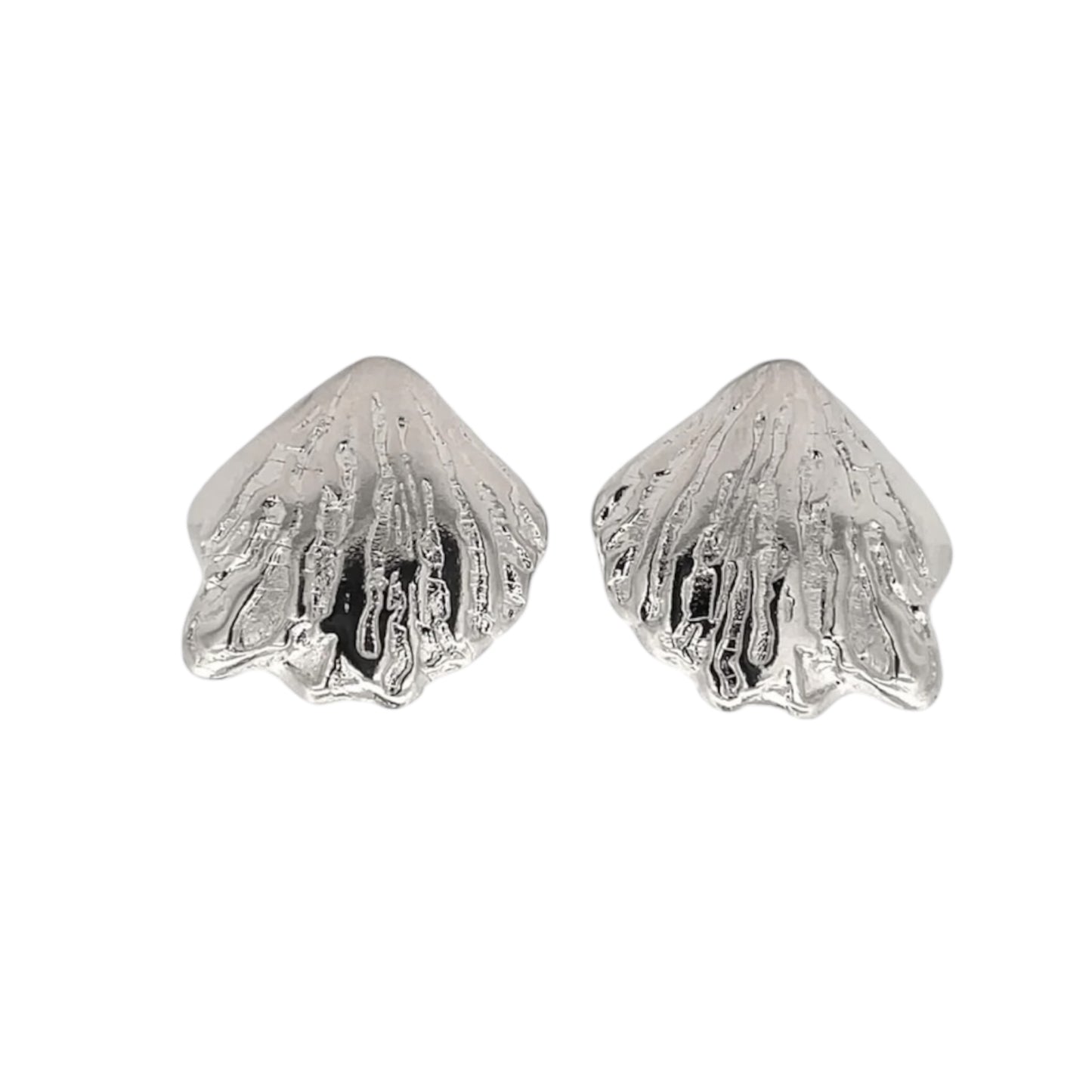 Hard Shell Clam Push Back Earrings