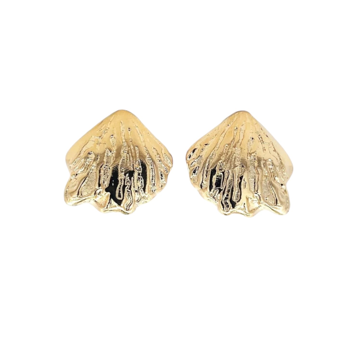 Hard Shell Clam Push Back Earrings