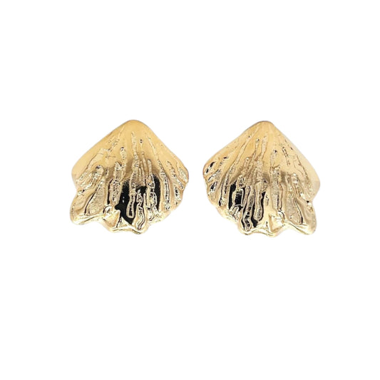 Hard Shell Clam Push Back Earrings