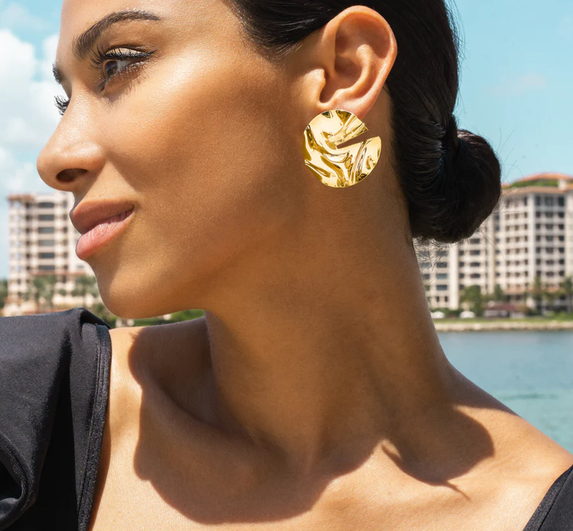 Circle Cut Earrings